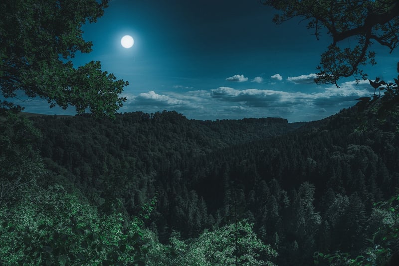 Moon Village